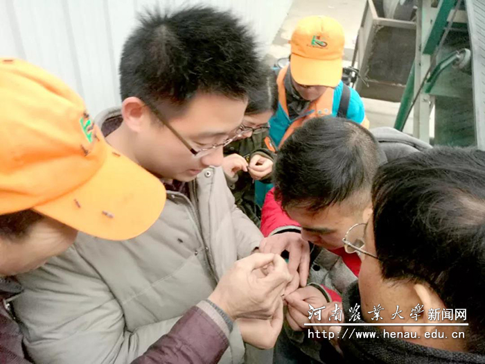 杨森在为浙江黑水虻养殖人员进行现场技术指导