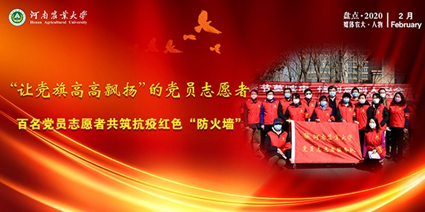 “让党旗高高飘扬”的党员志愿者.jpg