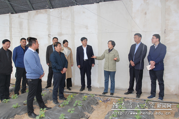 副校长尹新明查看蔬菜大棚建设情况