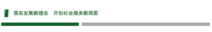 落实发展新理念  开创社会服务新局面