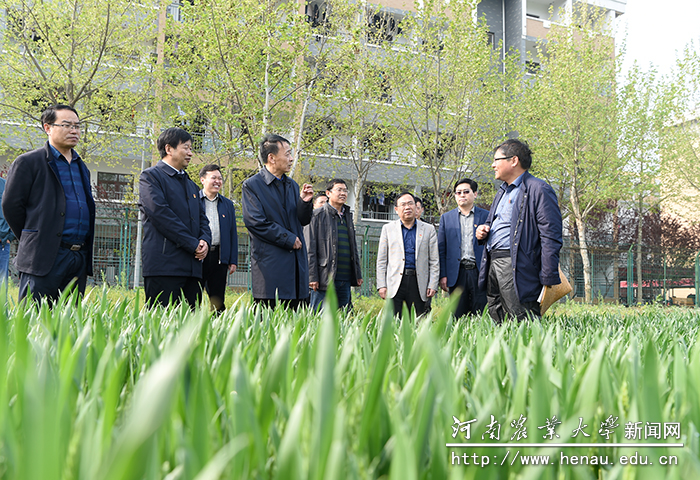 魏蒙关与殷贵鸿研究员深入交谈2 魏蒙关与殷贵鸿研究员深入交谈2