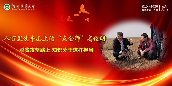 八百里伏牛山上的“点金师”高致明.jpg