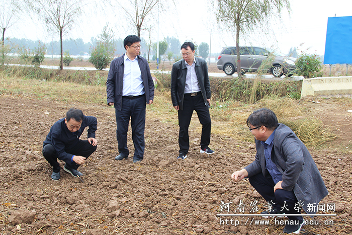 魏蒙关一行现场查看土壤墒情 魏蒙关一行现场查看土壤墒情