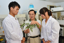 省特聘教授、植物保护学院 张 猛 省特聘教授、植物保护学院 张 猛