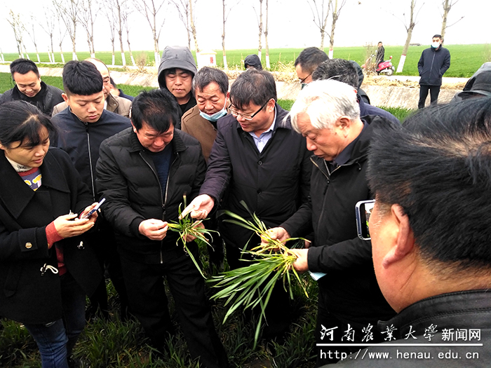 观摩会现场
