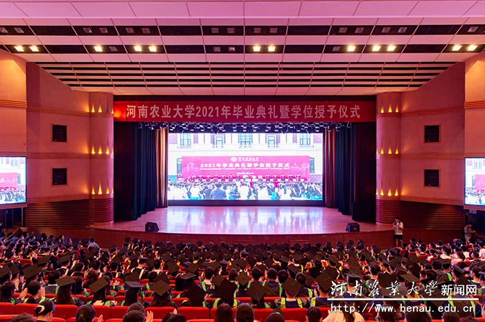 文化路校区分会场2 文化路校区分会场2