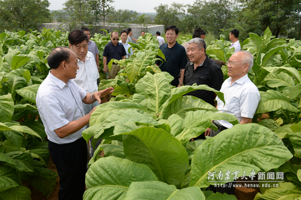 陈温福院士实地考察项目实施情况 陈温福院士实地考察项目实施情况