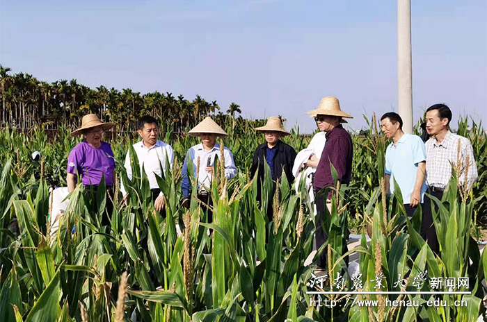 校领导一行现场实地察看基地情况 校领导一行现场实地察看基地情况