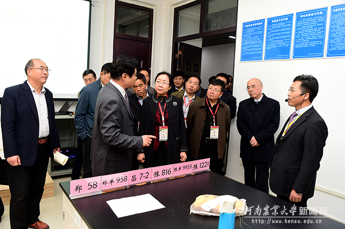 在农学院实验室,专家组听取优质玉米品种性状介绍 在农学院实验室,专家组听取优质玉米品种性状介绍