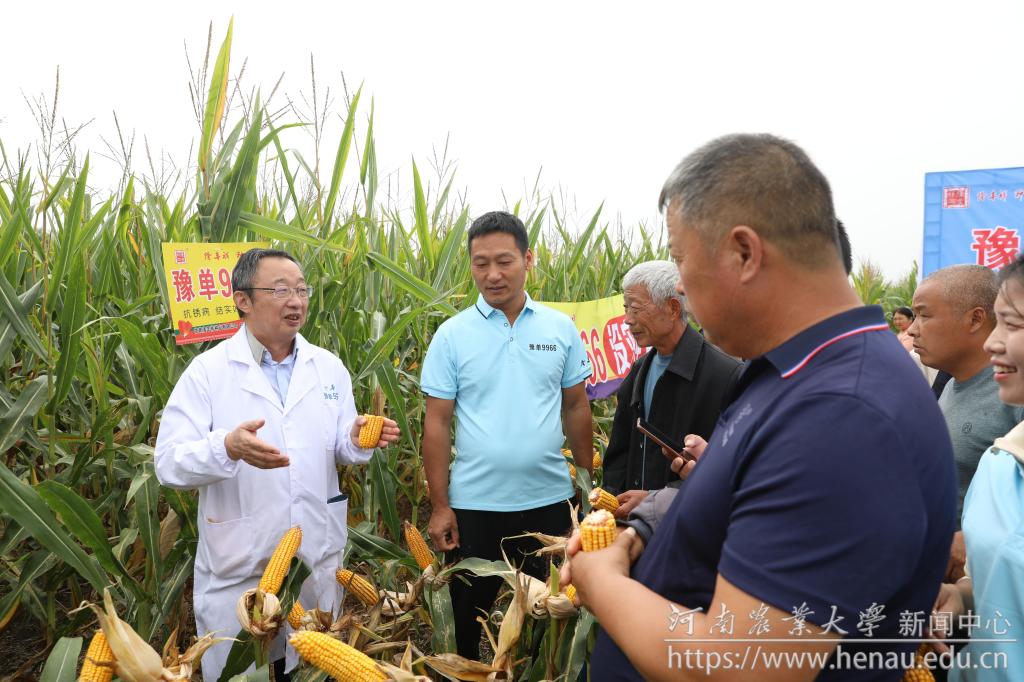 陈彦惠教授介绍豫单9966特性.JPG