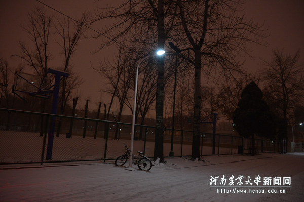 雪夜中的灯光 雪夜中的灯光