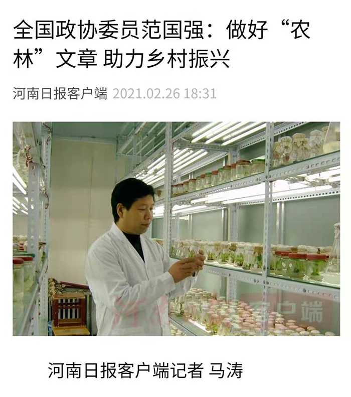 【河南日报】客户端（2021年2月26日）全国政协委员范国强：做好“农林”文章 助力乡村振兴700