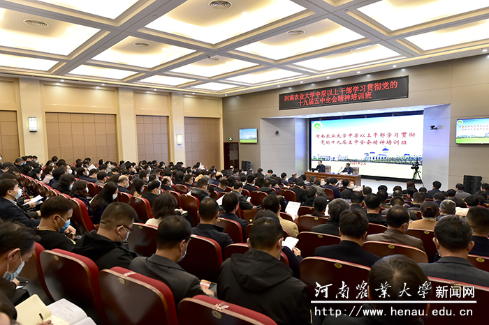 开班典礼现场 开班典礼现场