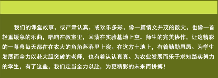 大话课堂之：我的课堂故事10