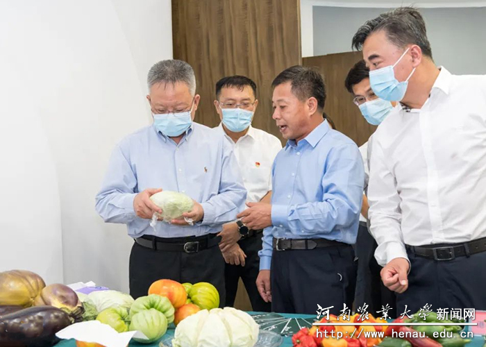 海南省委书记沈晓明现现场了解我校首批落地海南的87个优质品种 海南省委书记沈晓明现现场了解我校首批落地海南的87个优质品种