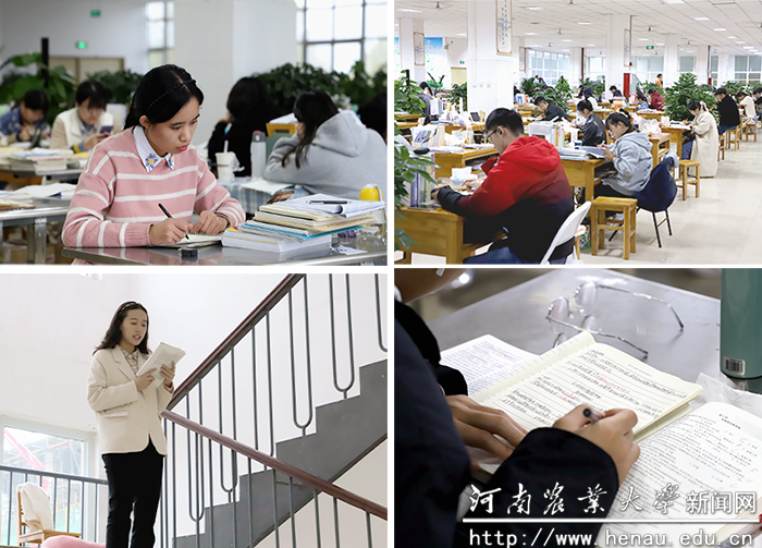许昌拼图 许昌拼图