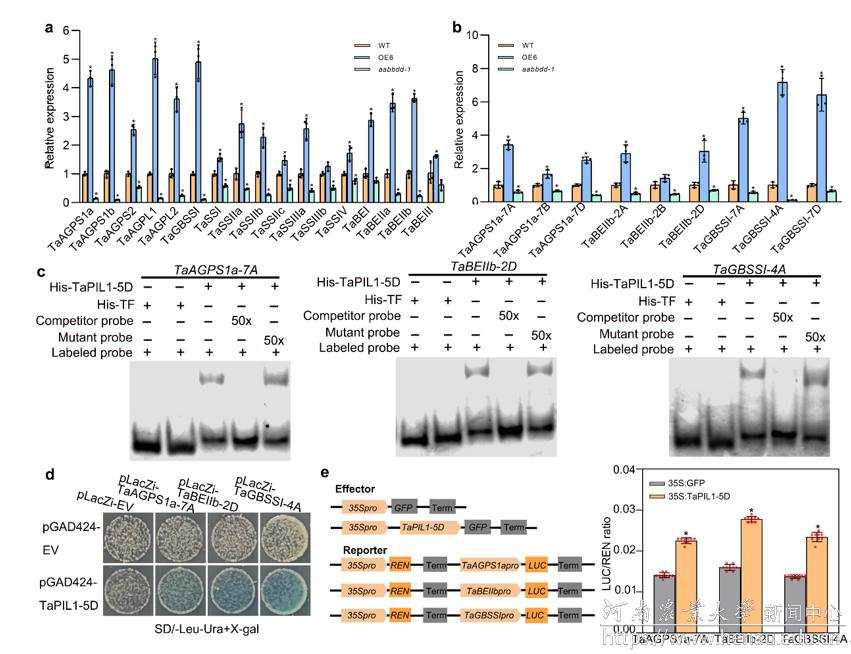 微信图片_20251212091523_278_22.png 微信图片_20251212091523_278_22.png