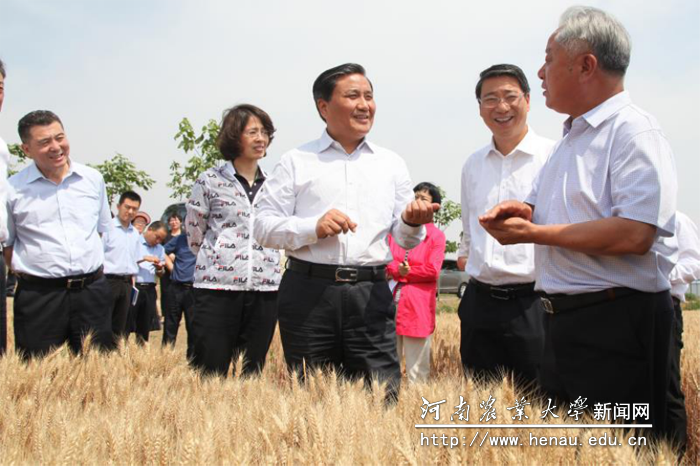 副省长武国定查看“鑫华麦818“小麦新品种生产情况 副省长武国定查看“鑫华麦818“小麦新品种生产情况