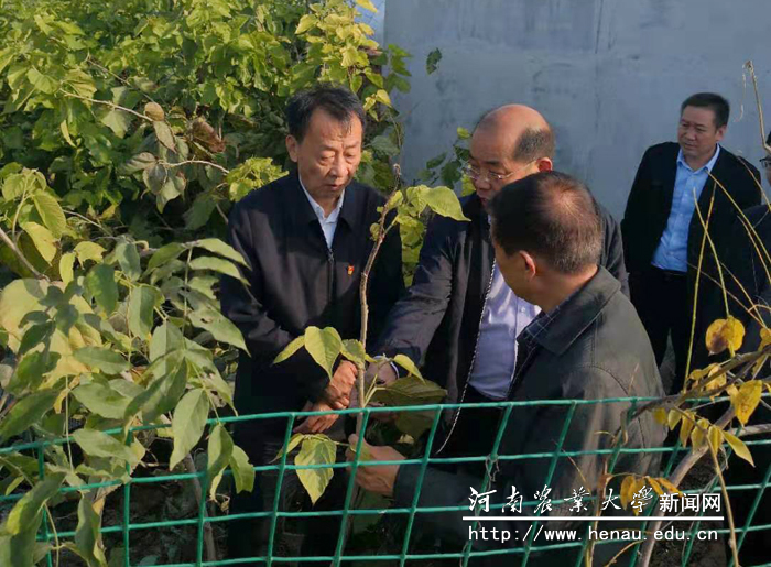 魏蒙关详细了解项目有关情况 魏蒙关详细了解项目有关情况