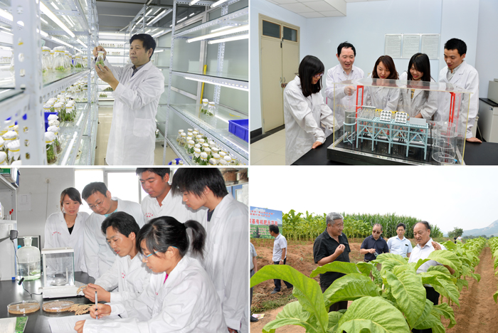我校斩获4项省部级科技进步一等奖 我校斩获4项省部级科技进步一等奖