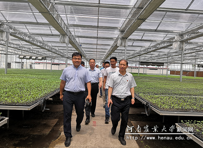 副校长介晓磊到河南农业大学扶沟蔬菜研究院实地调研 副校长介晓磊到河南农业大学扶沟蔬菜研究院实地调研