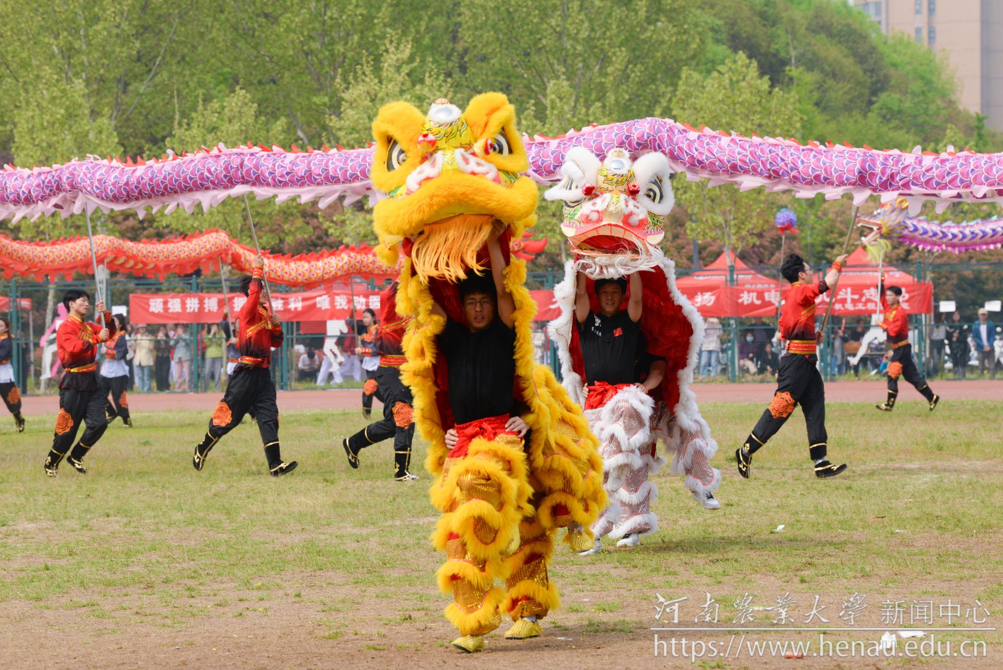 DSC_9962.jpg