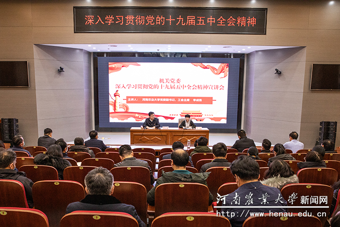 报告会现场 报告会现场