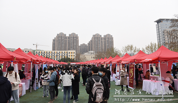 文化路校区招聘会现场 文化路校区招聘会现场
