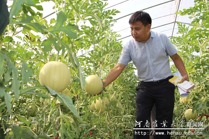 园艺学院马长生教授在当地指导瓜果生产