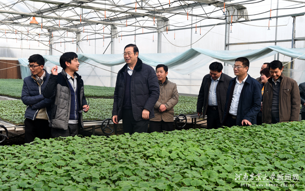 水印-程传兴一行在河南农业大学扶沟蔬菜研究院调研 水印-程传兴一行在河南农业大学扶沟蔬菜研究院调研