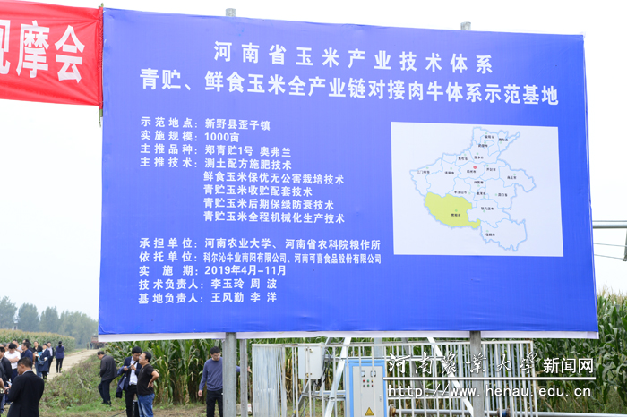 青贮、鲜食玉米全产业链示范基地 青贮、鲜食玉米全产业链示范基地