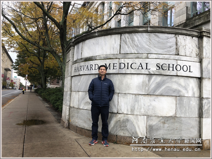 2018-哈佛医学院访问学者2 2018-哈佛医学院访问学者2