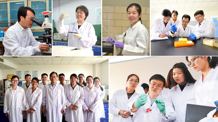 年轻又充满活力的学术工作者队伍 年轻又充满活力的学术工作者队伍
