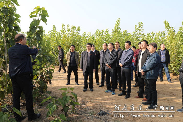 魏蒙关一行听取毕会涛副教授介绍项目实施情况 魏蒙关一行听取毕会涛副教授介绍项目实施情况