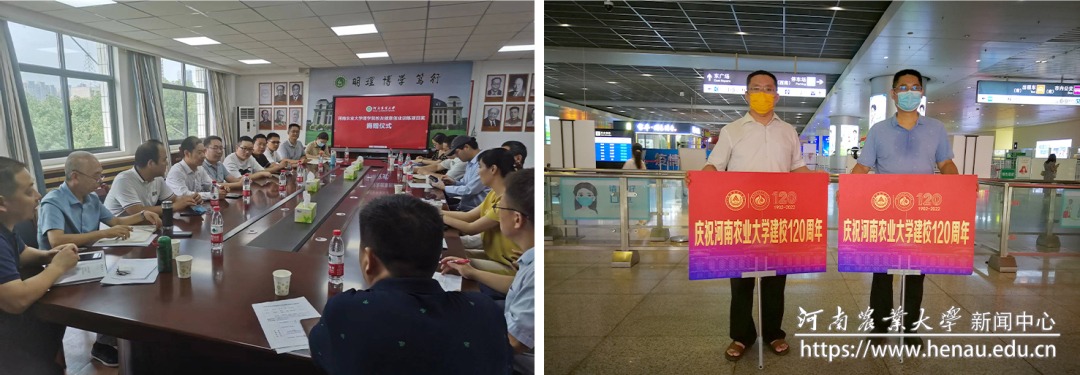 拼图.jpg