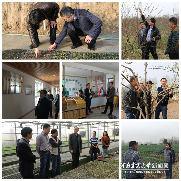 新农村发展研究院基地服务行动