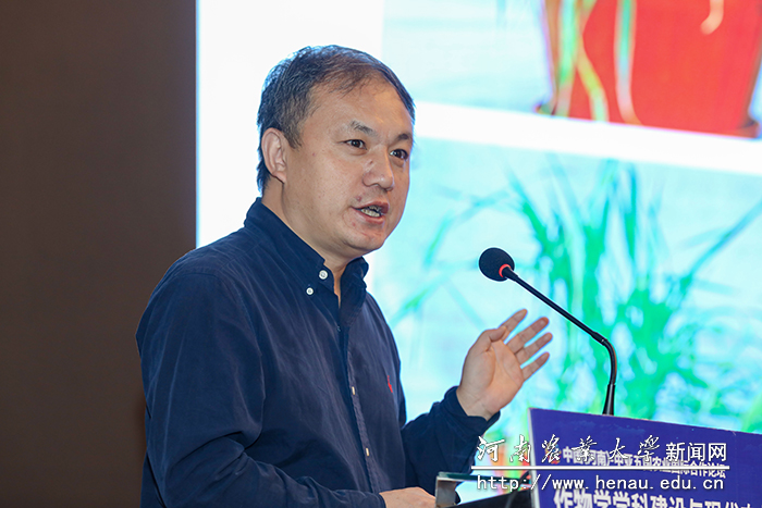 中国农业大学农学院副院长倪中福教授作报告 中国农业大学农学院副院长倪中福教授作报告