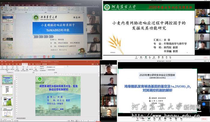 网络视频远程预答辩 网络视频远程预答辩