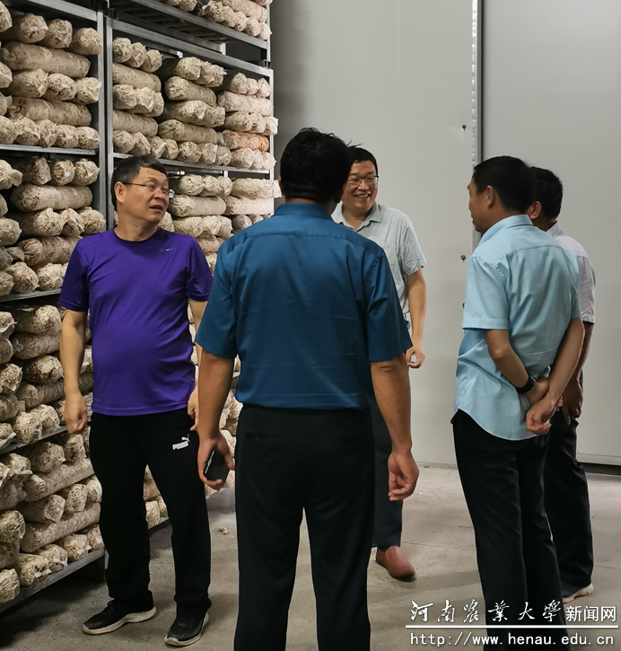 第四专家组调研食用菌生产基地 第四专家组调研食用菌生产基地