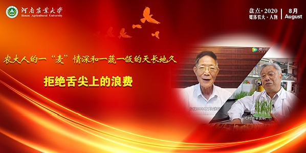 农大人的一“麦”情深和一蔬一饭的天长地久.jpg