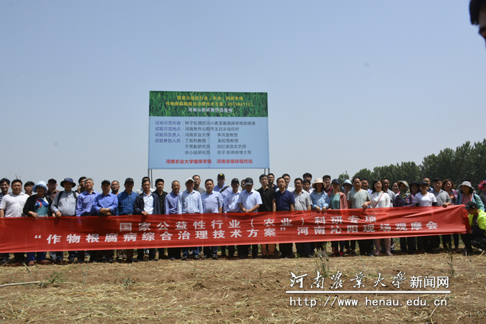 观摩会现场 观摩会现场