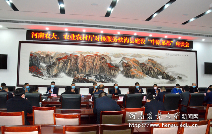 调研座谈会 调研座谈会