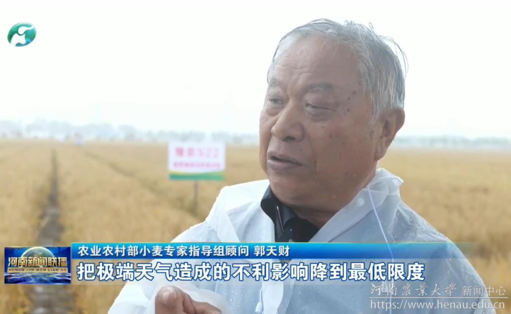 专家提醒:后期天气晴好 加紧抢收保丰收.jpg