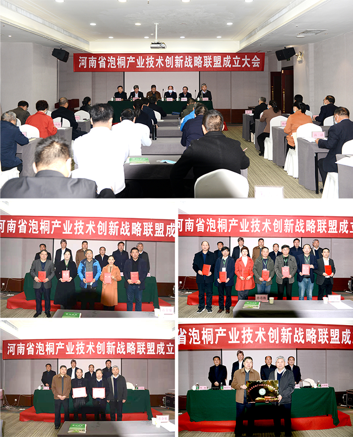 大会照片11 大会照片11