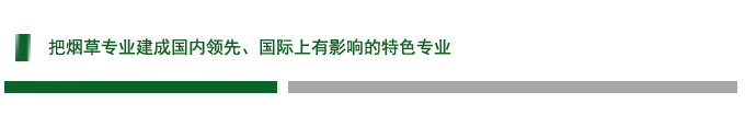 6许自成