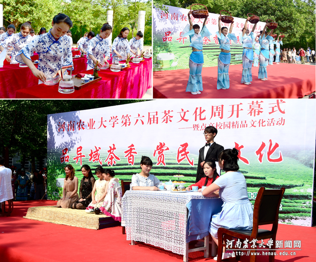 丰富多彩的茶文化展示活动 丰富多彩的茶文化展示活动