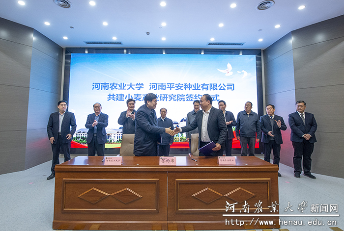 与平安种业签约 与平安种业签约