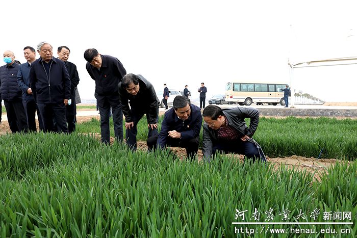 副省长武国定在试验田实地考察 副省长武国定在试验田实地考察