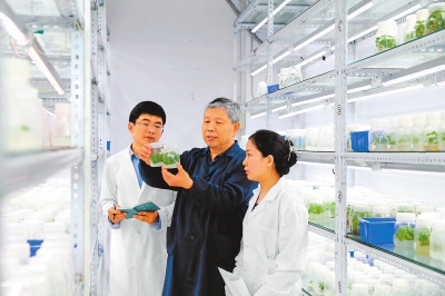 范国强教授在实验室与科研团队成员做实验。本报记者 邓放 摄.jpg