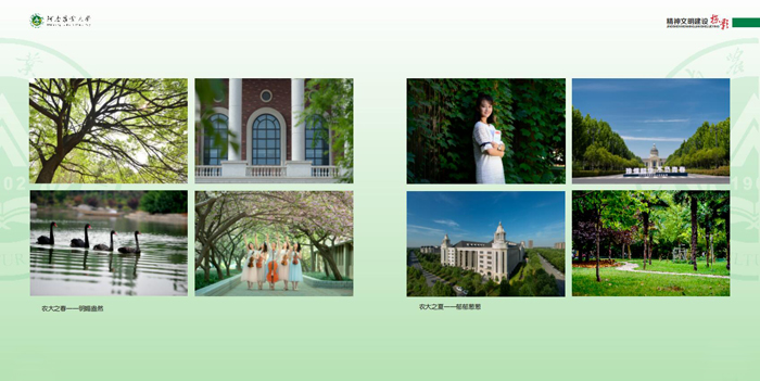 魅力校园—春与夏 魅力校园—春与夏